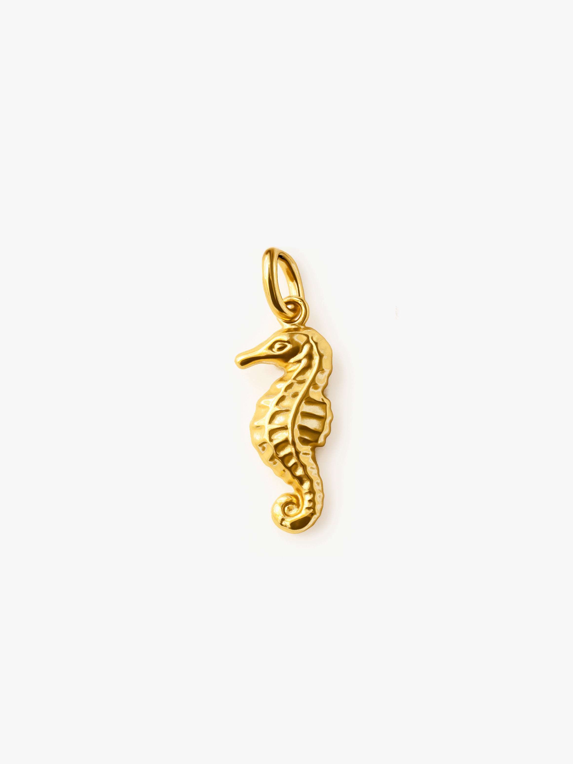 Seahorse Charm (Small)