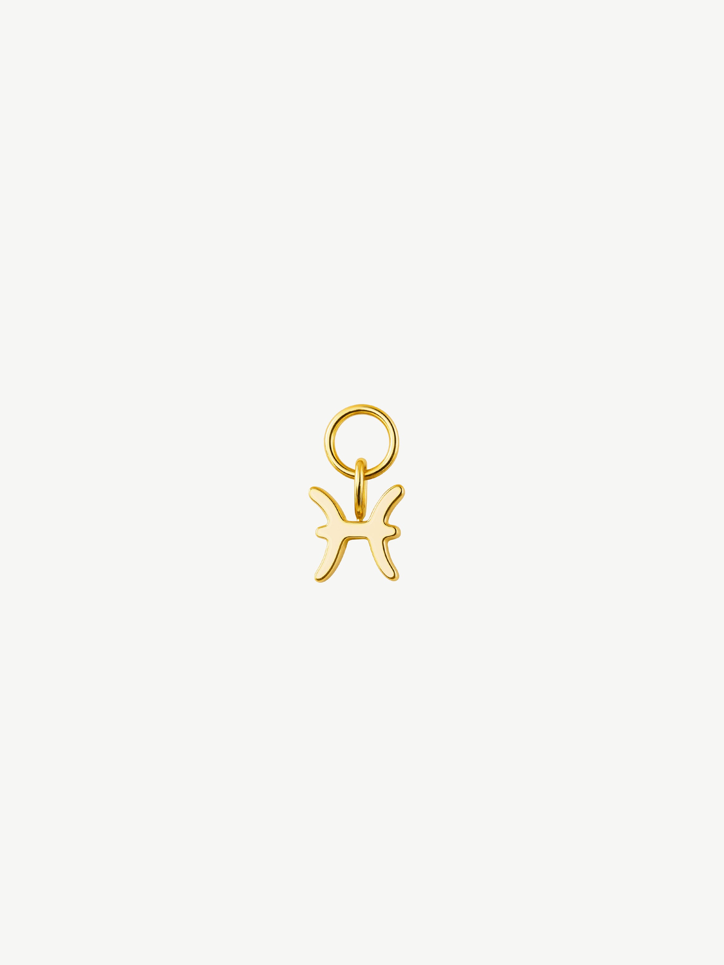 Zodiac Symbol Charm (Tiny)