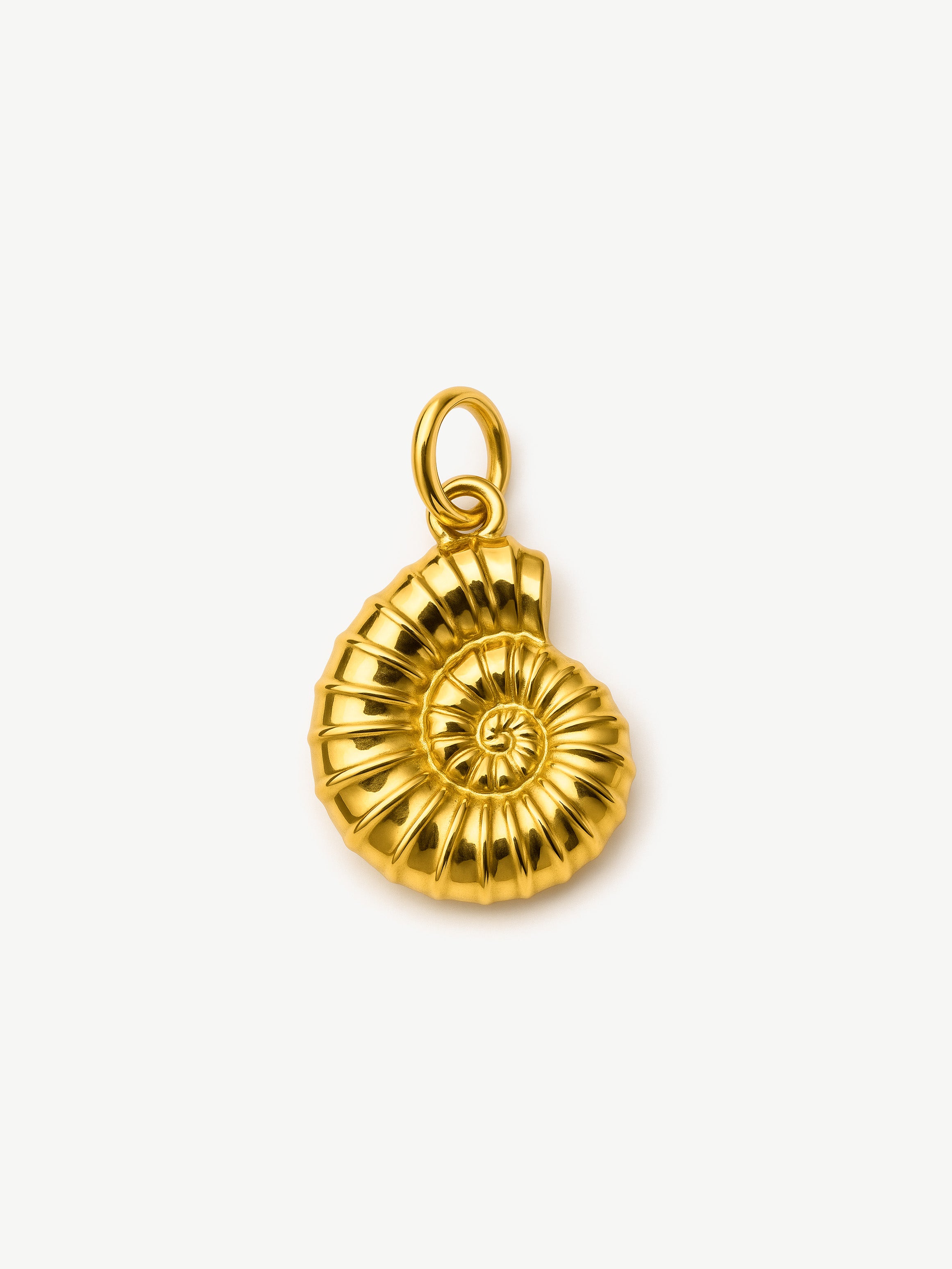 Articulate Harp Sea Shell Charm (Big)