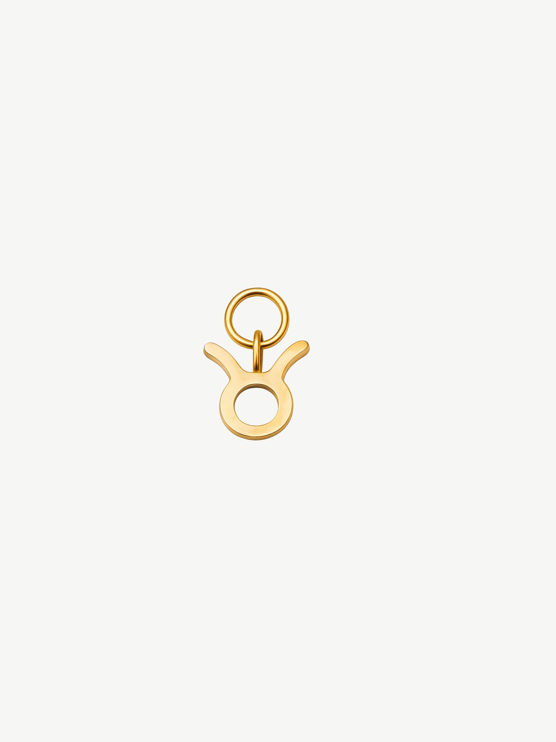 Zodiac Symbol Charm (Tiny)