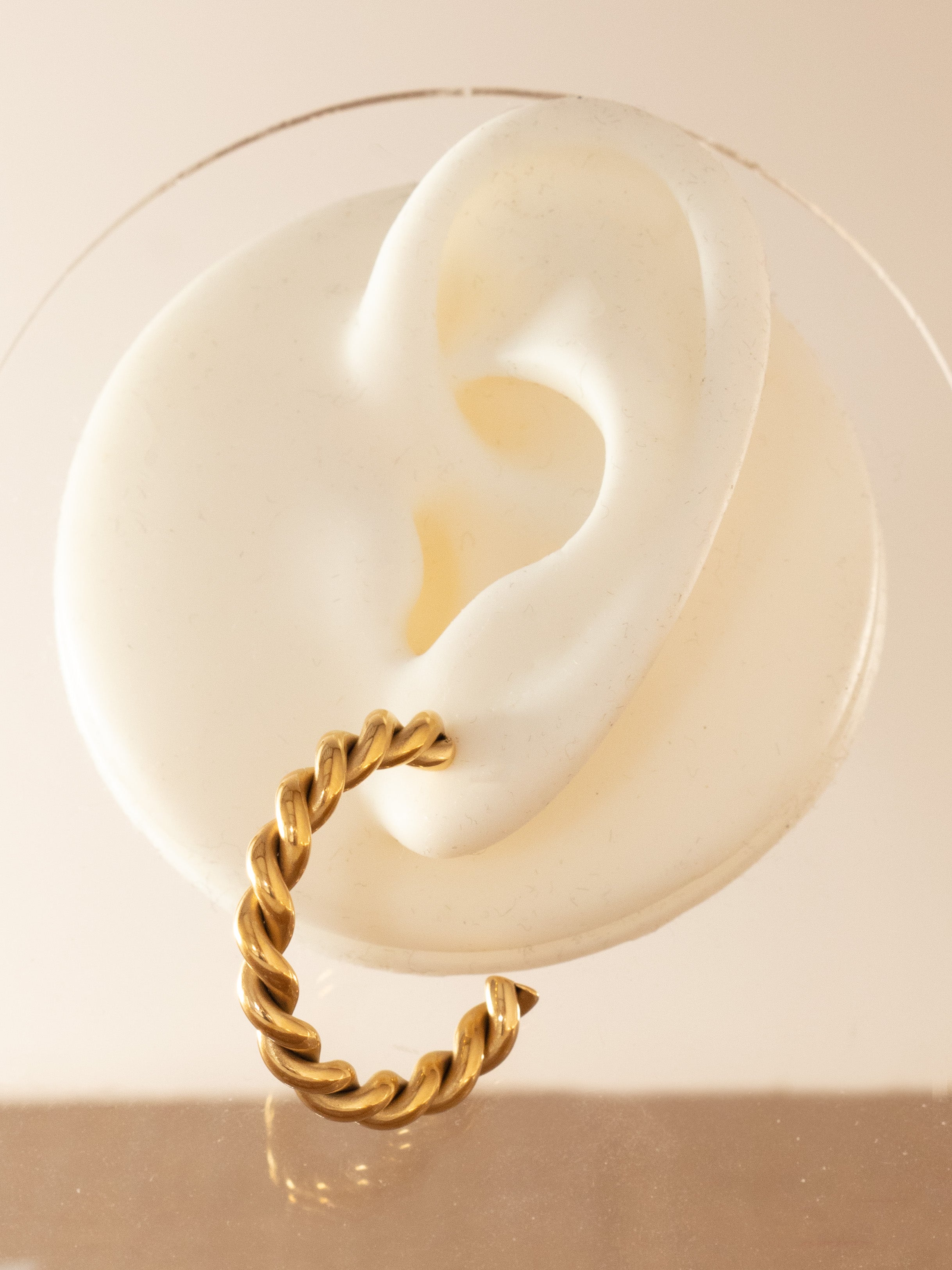 Twisted Rope Hoop Earrings