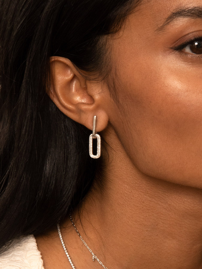 Silver & Gold Earrings