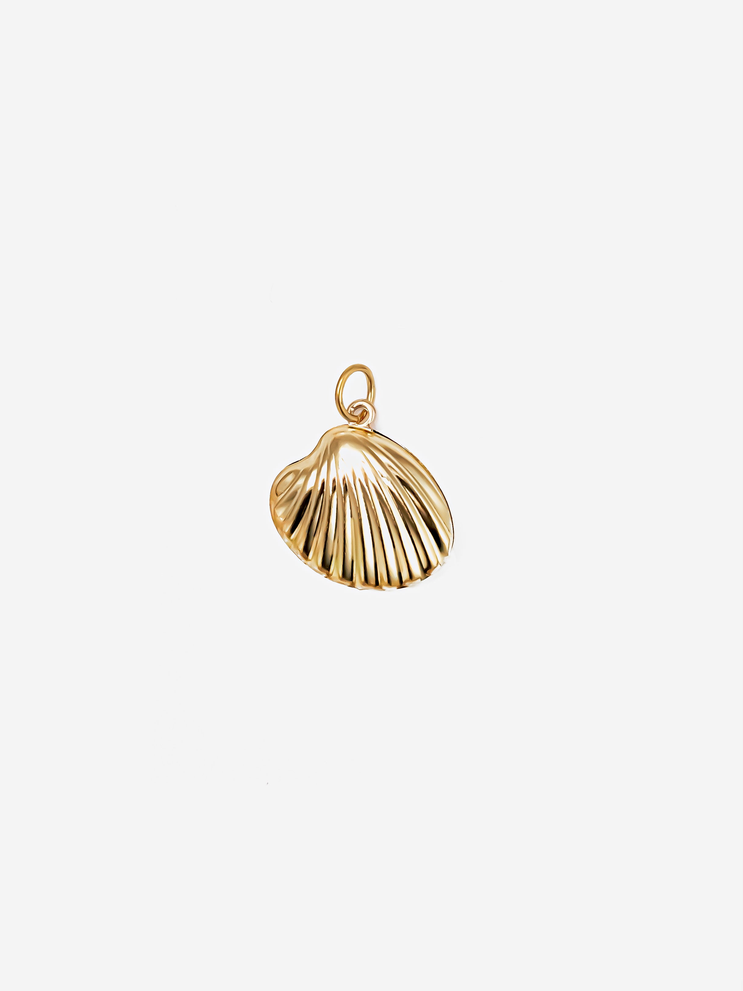 Medium Shell Charm (Small)