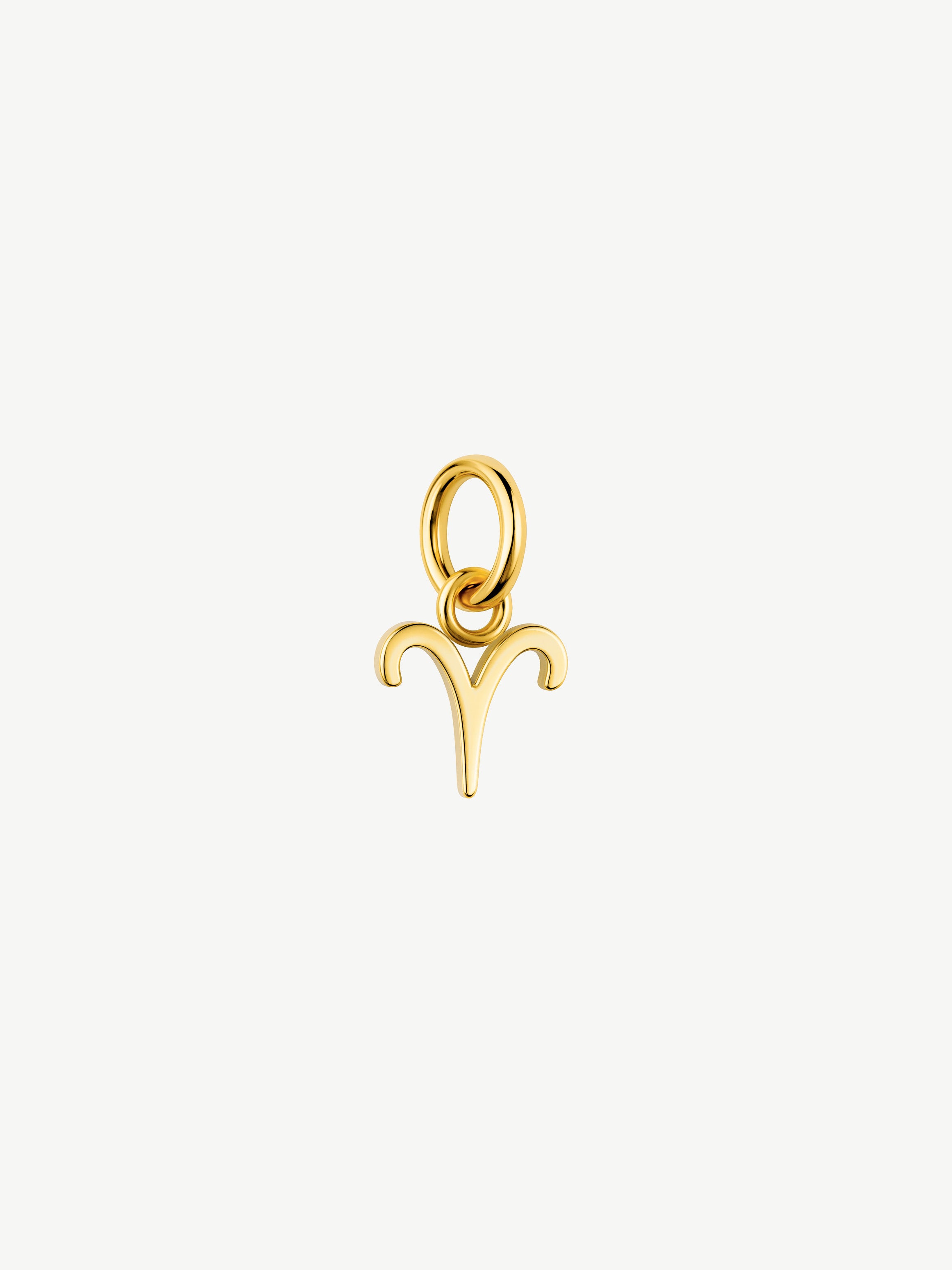 Zodiac Symbol Charm (Tiny)