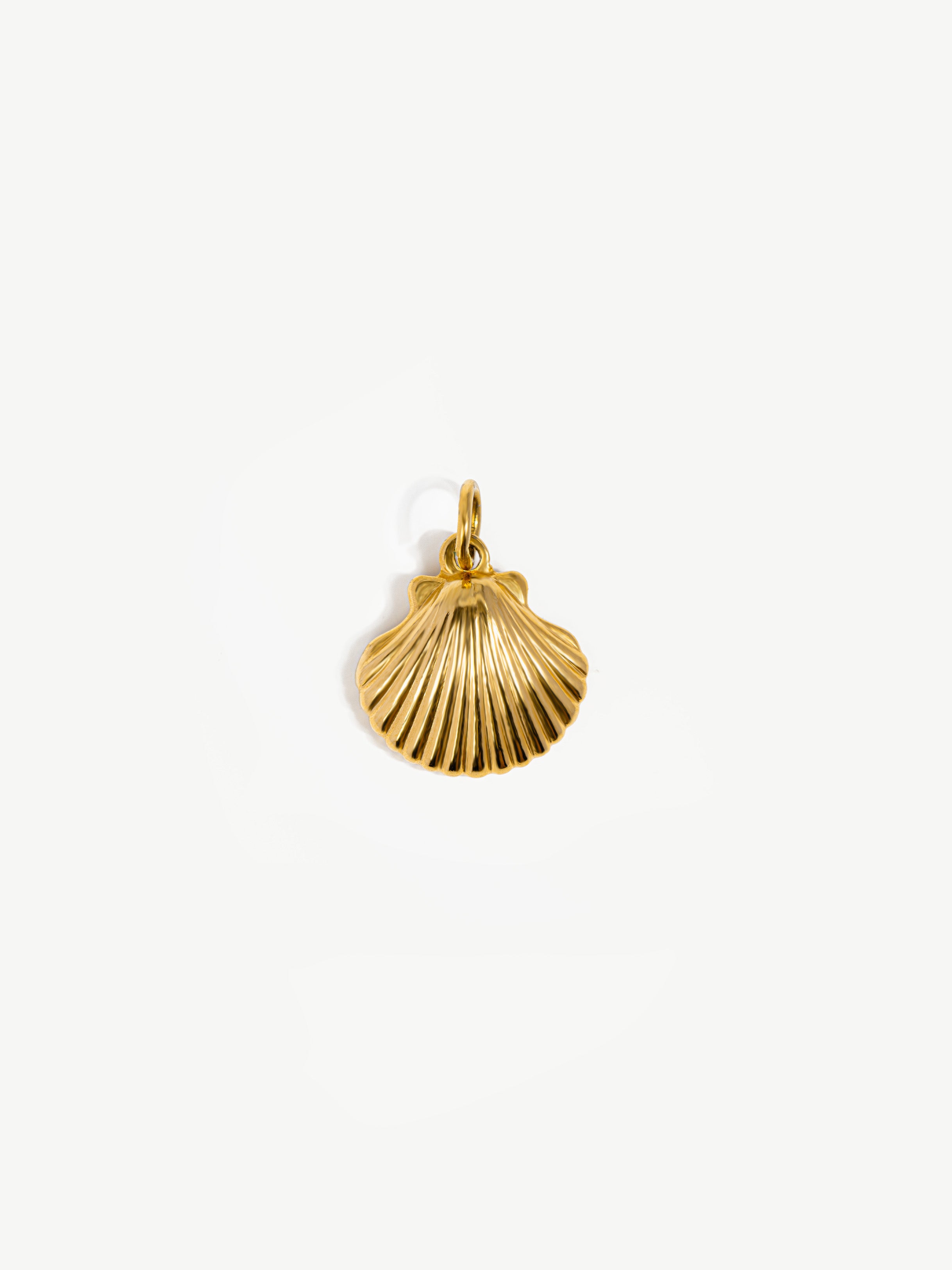 Textured Sea Shell Charm (Big)