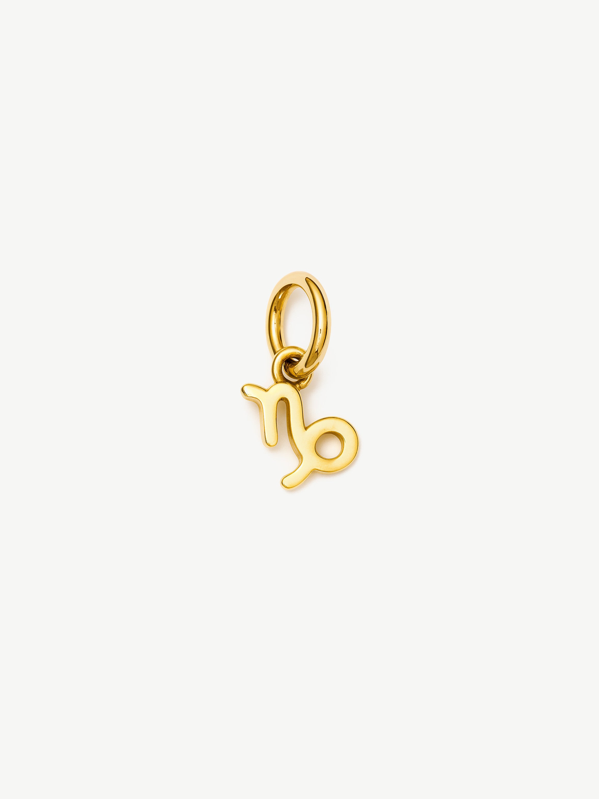 Zodiac Symbol Charm (Tiny)
