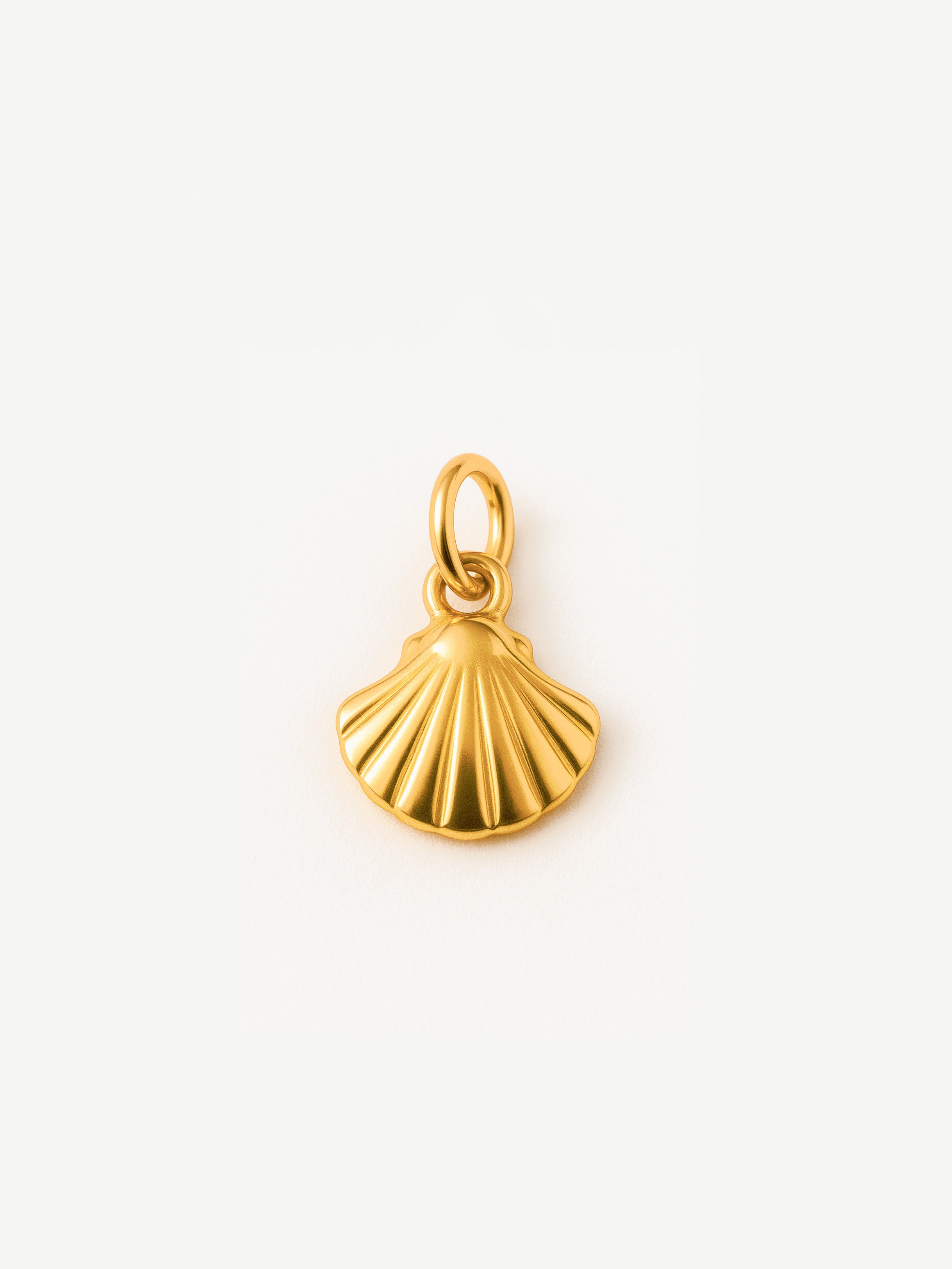 Clam Shell Charm (Tiny)