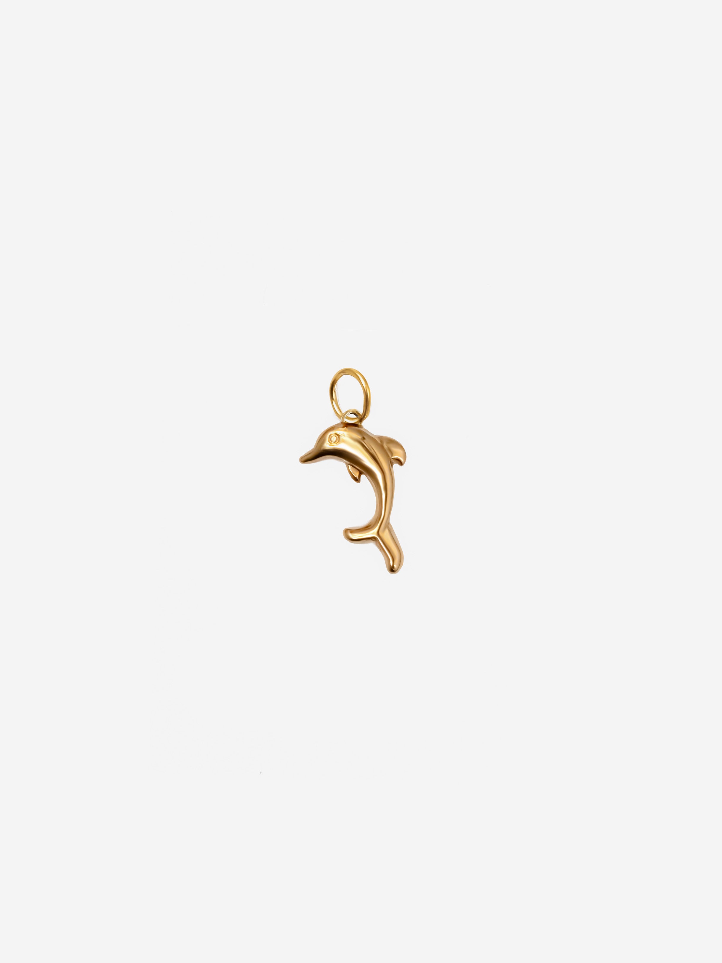 Dolphin Charm (Small)