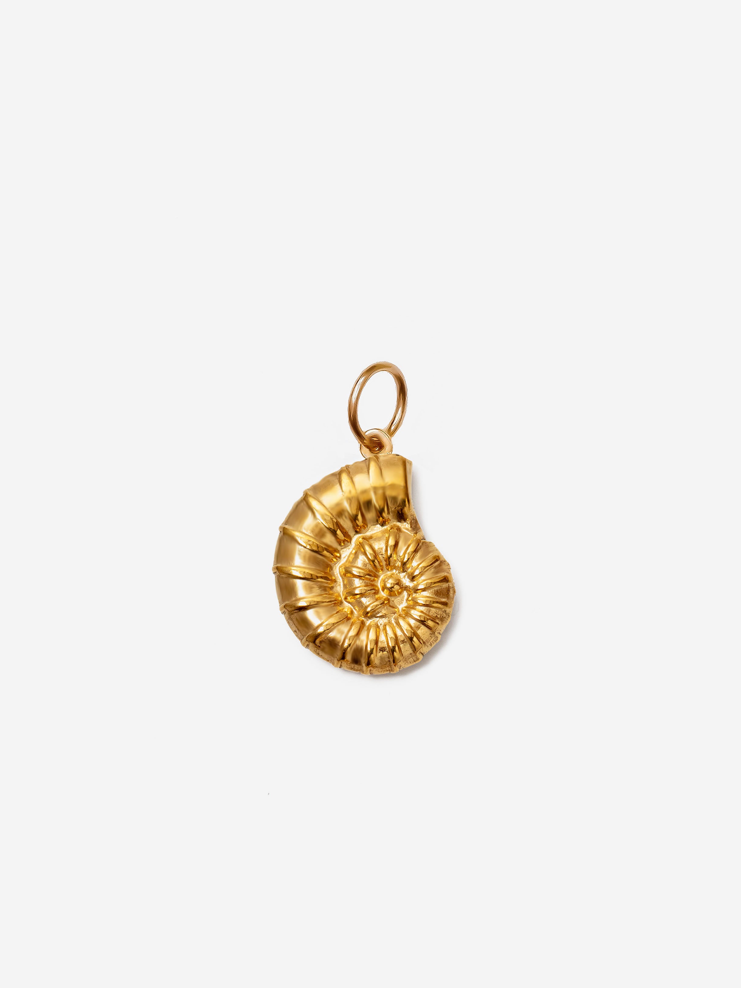 Articulate Harp Sea Shell Charm (Big)