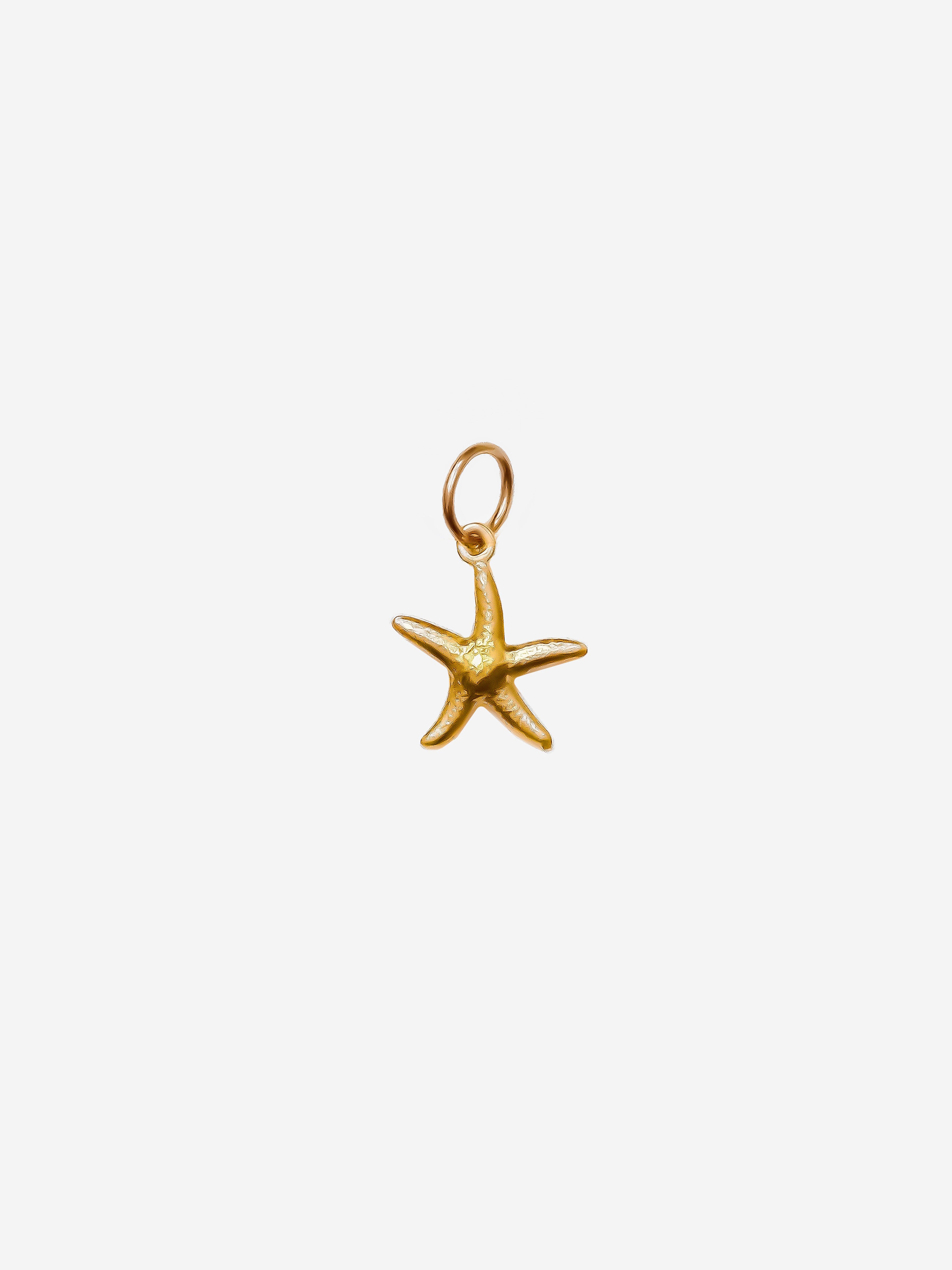 Starfish Charm (Small)