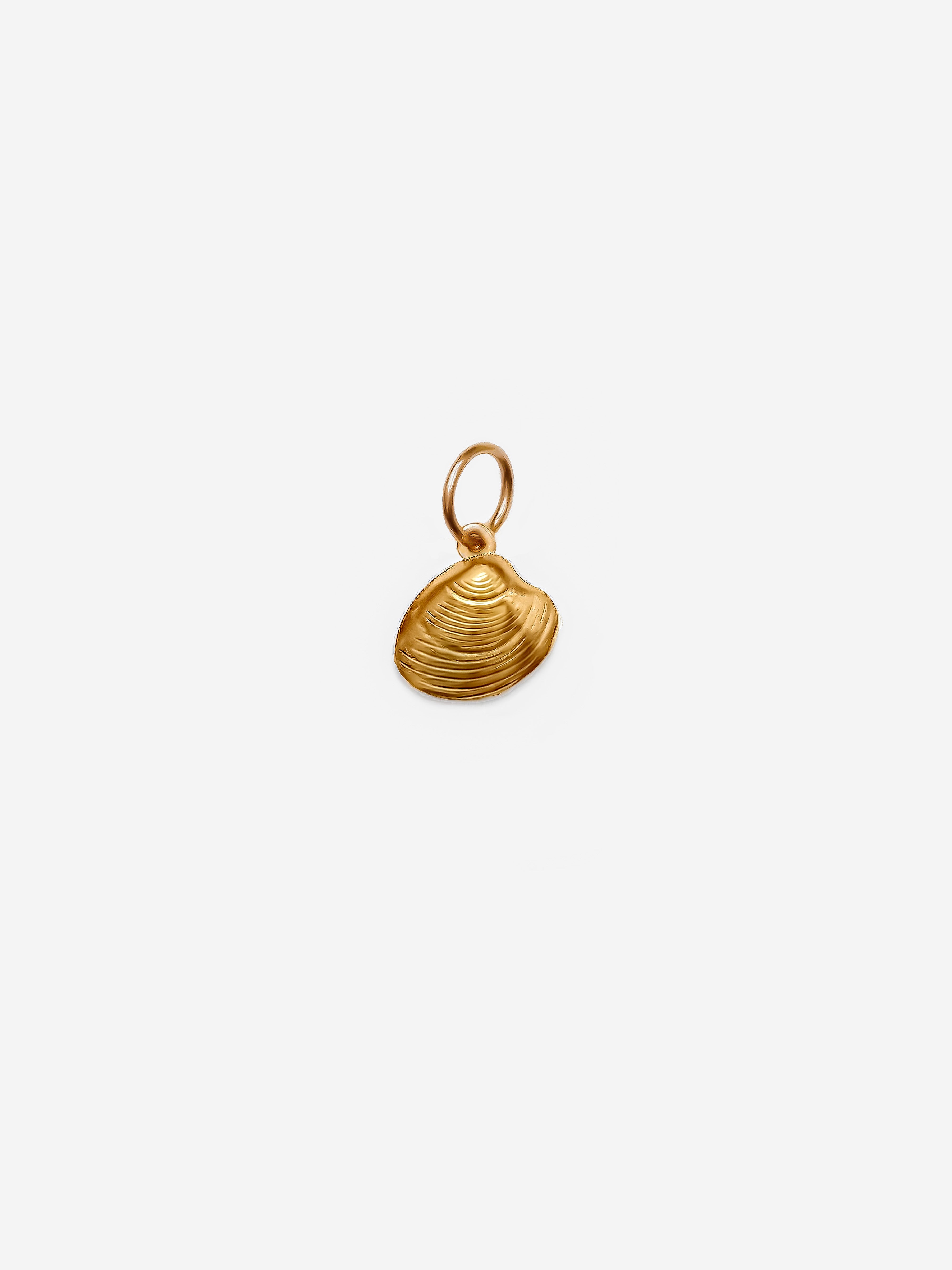 Sea Shell Charm (Small)