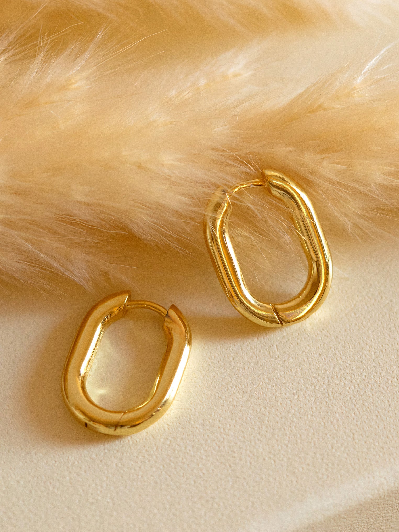 Small Thick Oval Hoop Earrings