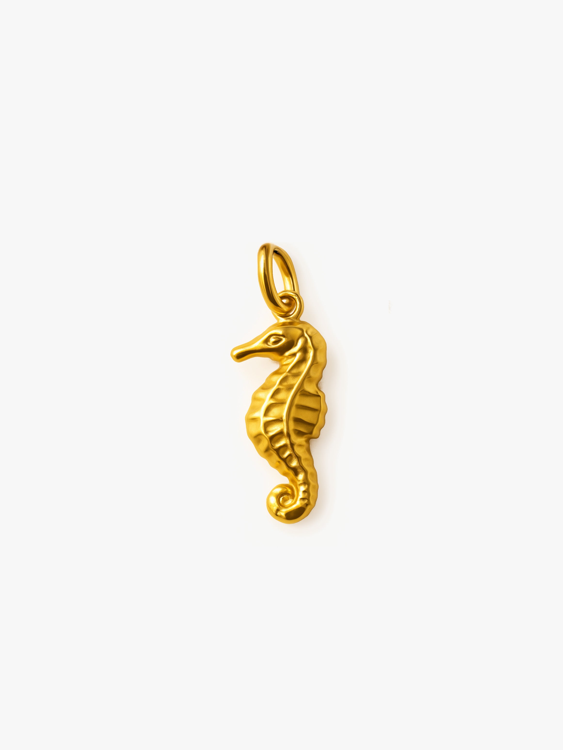 Seahorse Charm (Small)