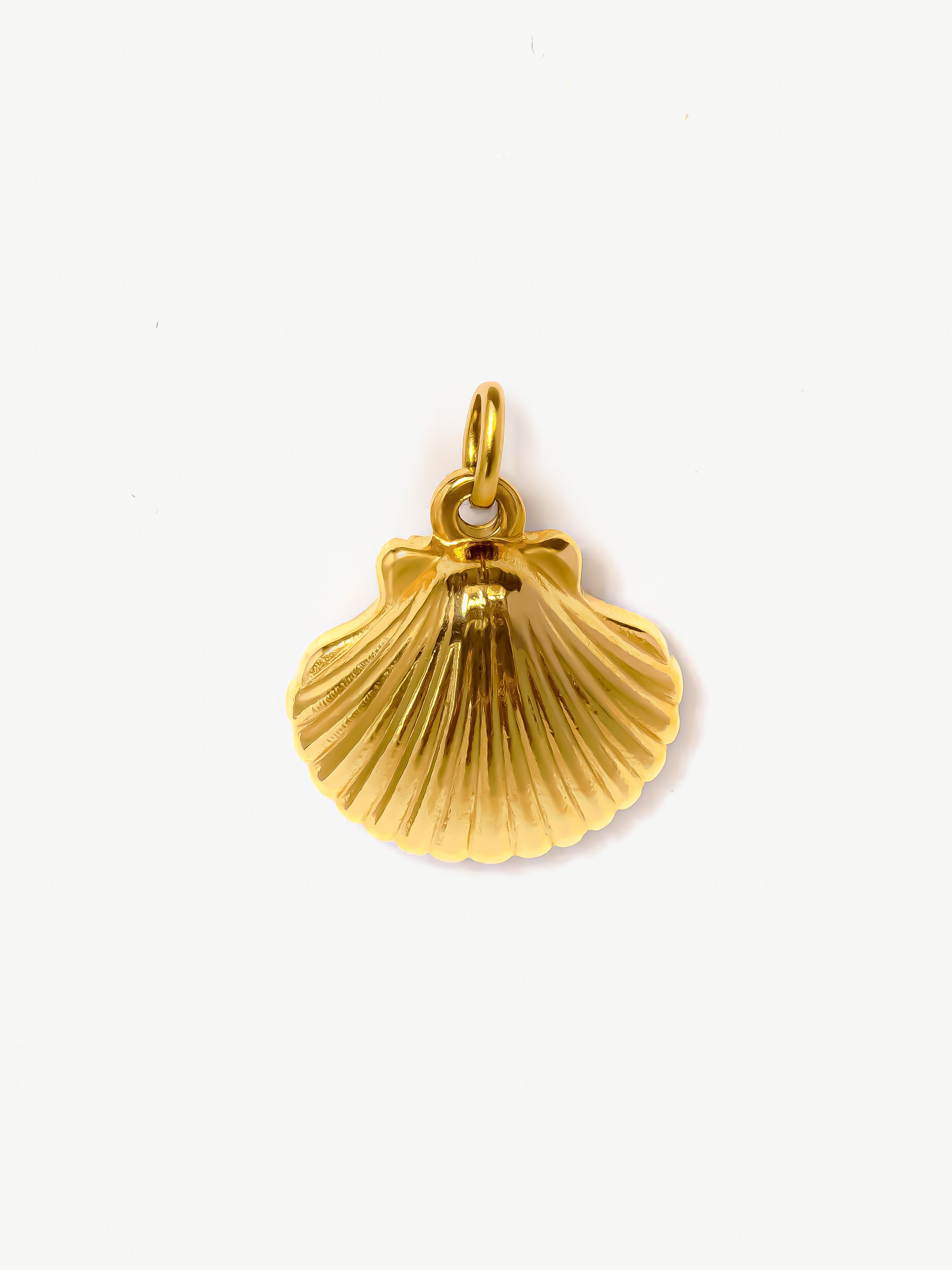 Textured Sea Shell Charm (Big)