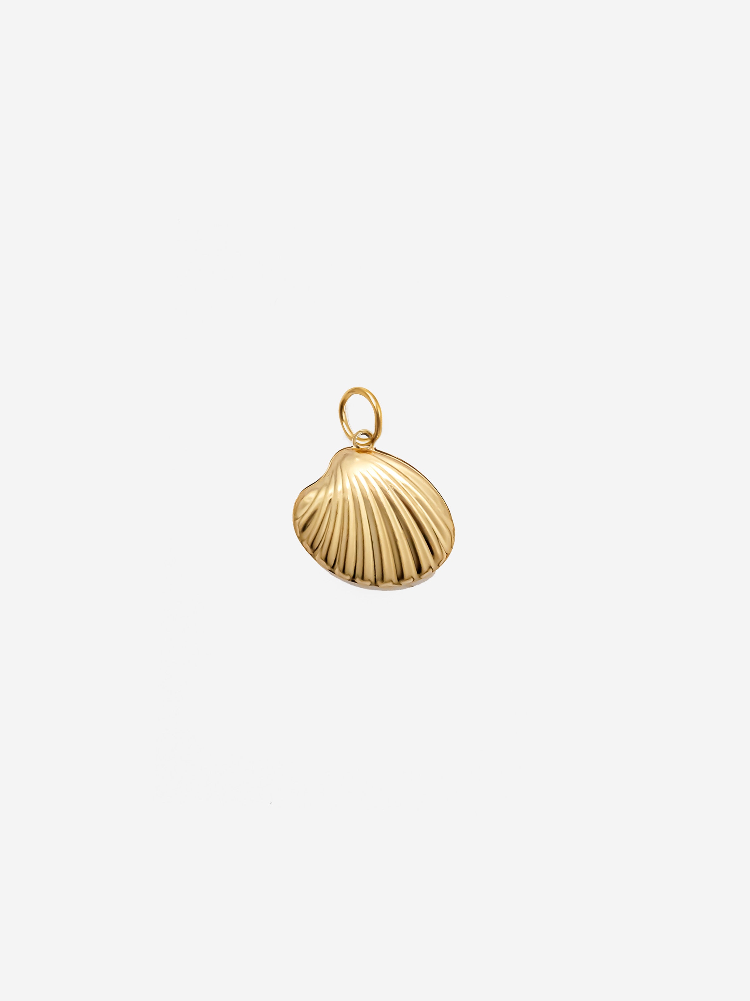 Shell Charm (Big)