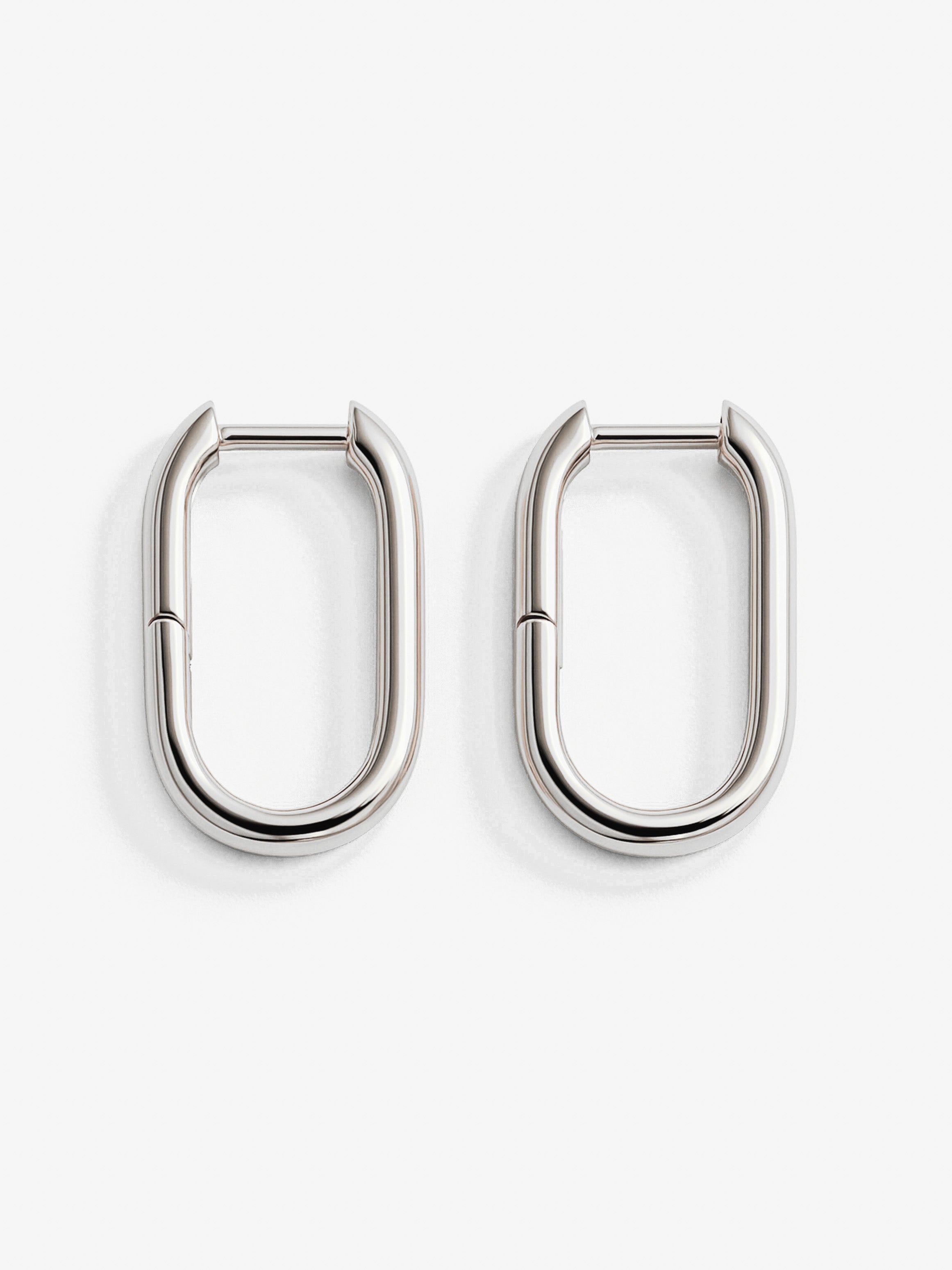 Oval Hoop Earrings